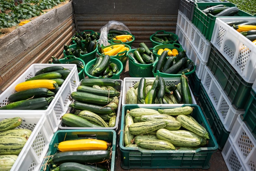 Miejska Farma Wrocławia